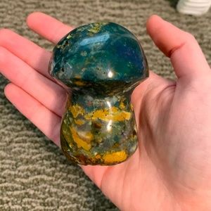 Ocean Jasper Mushroom